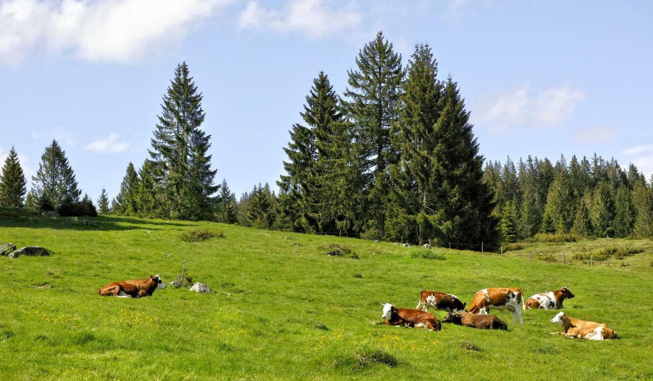 C3 Albmatte-Fewo Sauna, Hallenbad Aussenbecken Massagen Nebenan سانت بلاسين المظهر الخارجي الصورة