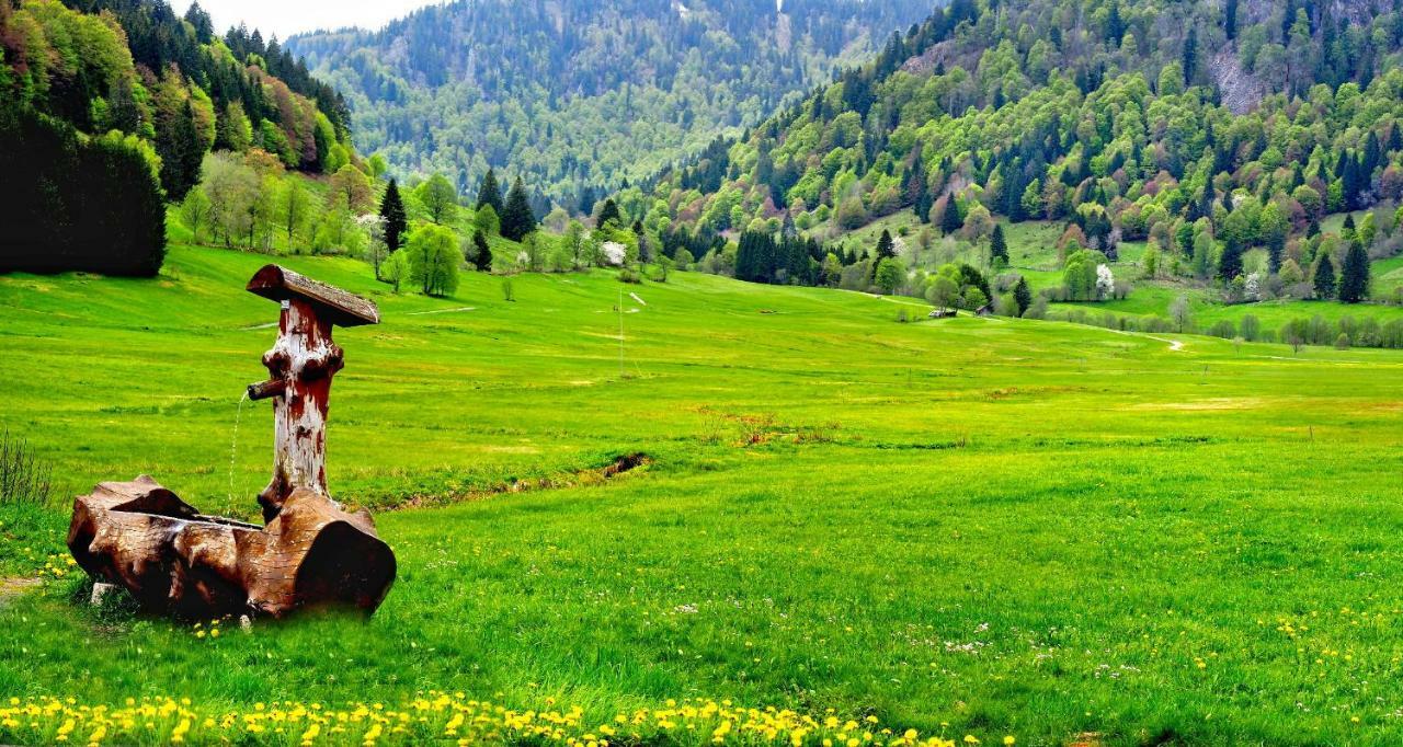 C3 Albmatte-Fewo Sauna, Hallenbad Aussenbecken Massagen Nebenan سانت بلاسين المظهر الخارجي الصورة