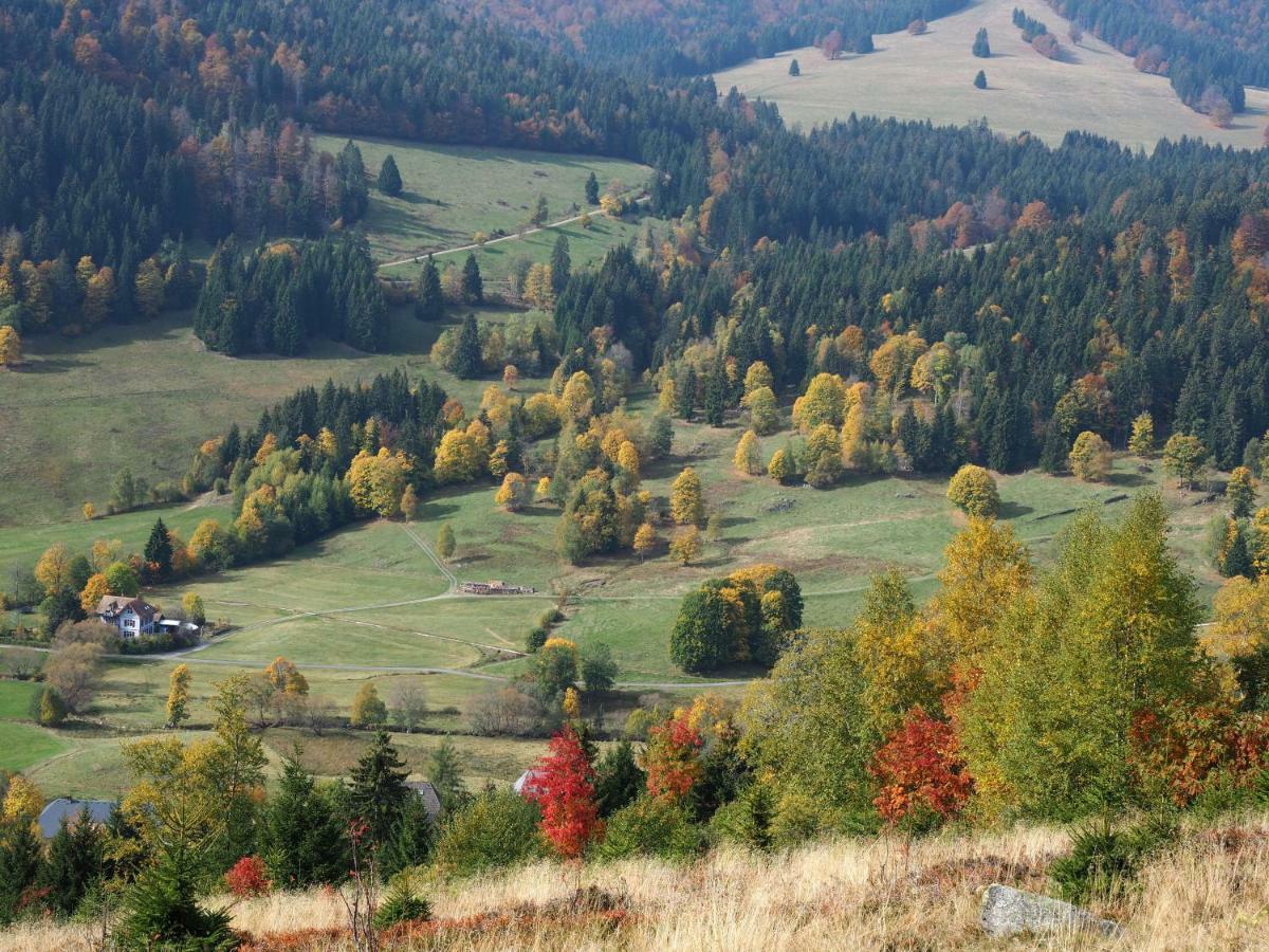 C3 Albmatte-Fewo Sauna, Hallenbad Aussenbecken Massagen Nebenan سانت بلاسين المظهر الخارجي الصورة