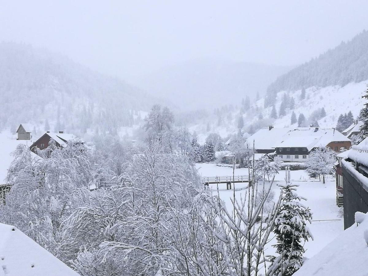 C3 Albmatte-Fewo Sauna, Hallenbad Aussenbecken Massagen Nebenan سانت بلاسين المظهر الخارجي الصورة
