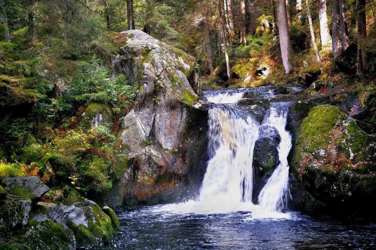 C3 Albmatte-Fewo Sauna, Hallenbad Aussenbecken Massagen Nebenan سانت بلاسين المظهر الخارجي الصورة