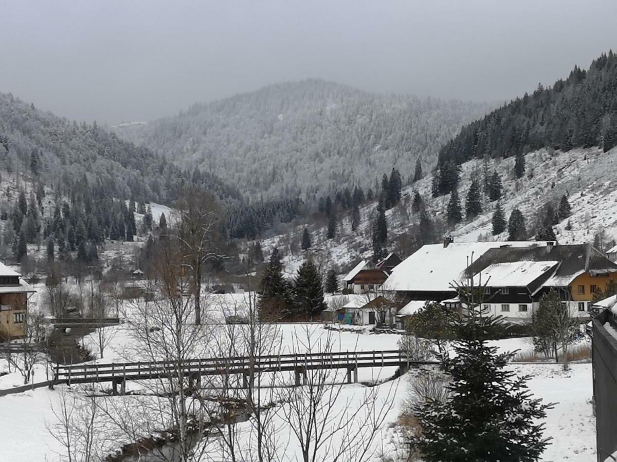 C3 Albmatte-Fewo Sauna, Hallenbad Aussenbecken Massagen Nebenan سانت بلاسين المظهر الخارجي الصورة