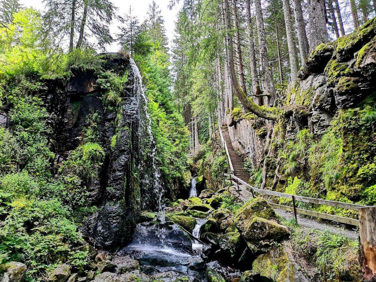 C3 Albmatte-Fewo Sauna, Hallenbad Aussenbecken Massagen Nebenan سانت بلاسين المظهر الخارجي الصورة