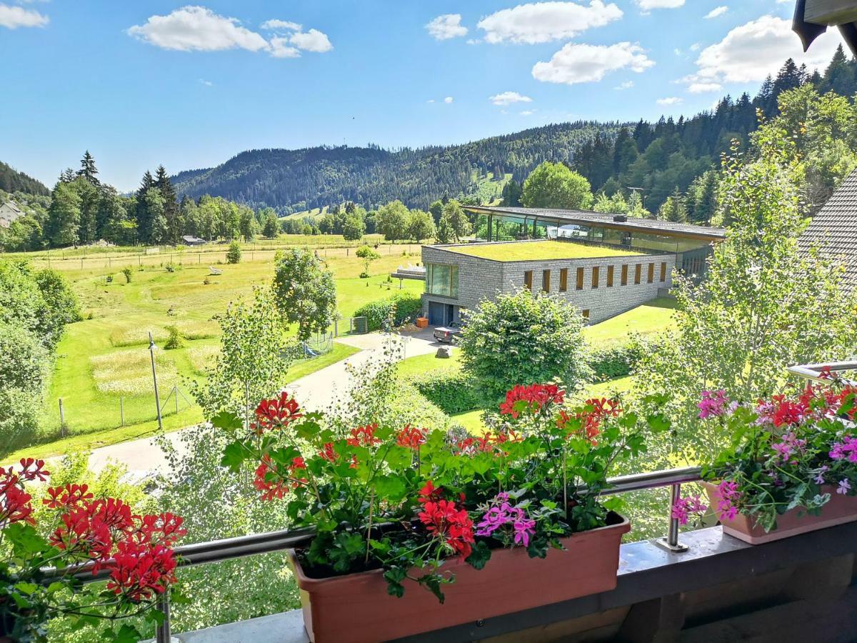 C3 Albmatte-Fewo Sauna, Hallenbad Aussenbecken Massagen Nebenan سانت بلاسين المظهر الخارجي الصورة