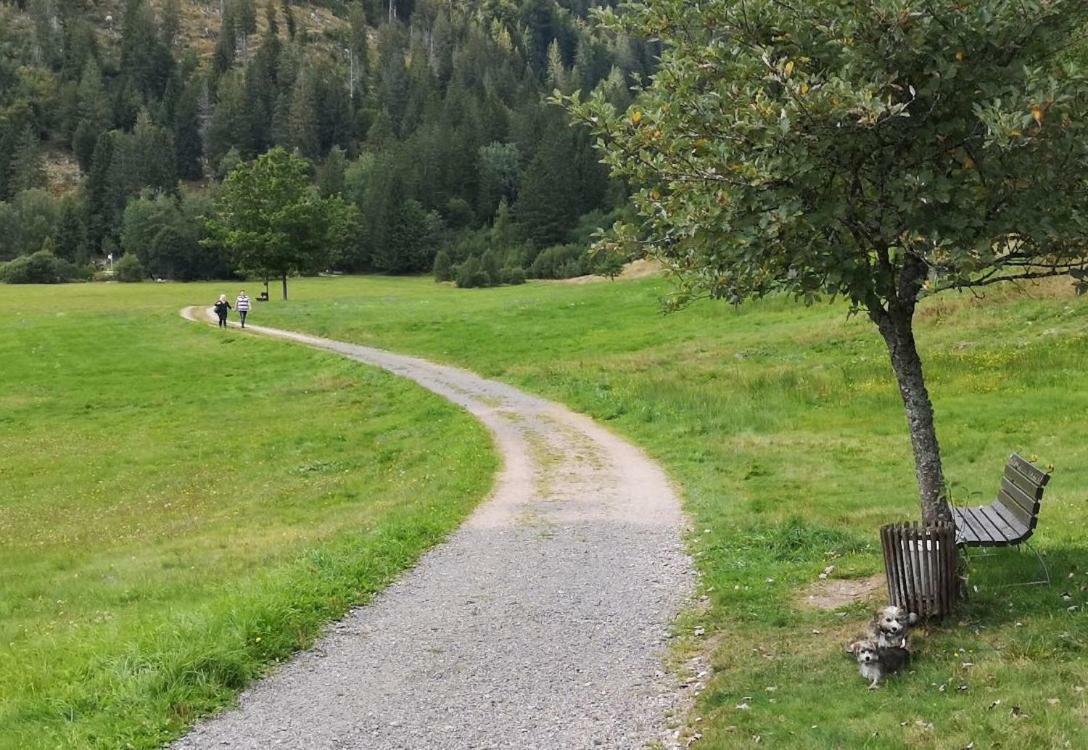 C3 Albmatte-Fewo Sauna, Hallenbad Aussenbecken Massagen Nebenan سانت بلاسين المظهر الخارجي الصورة