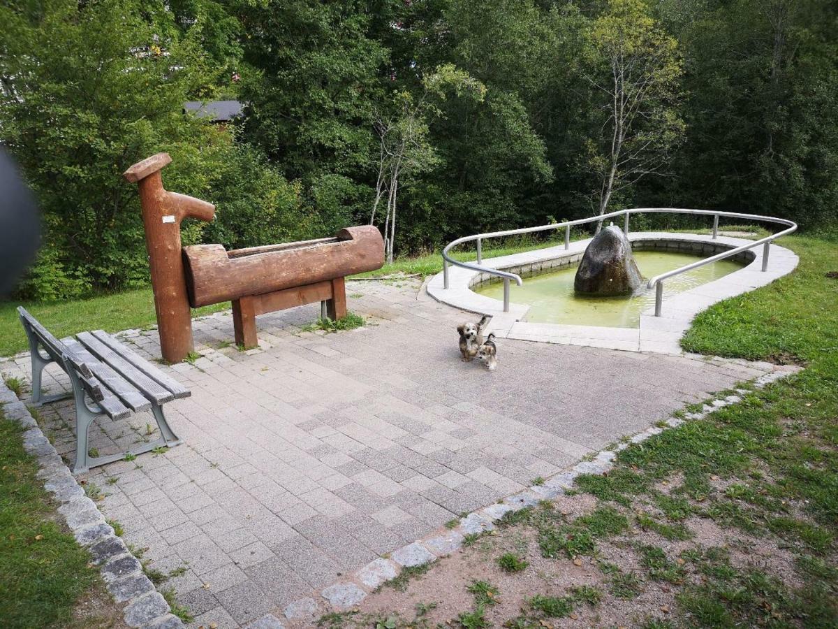 C3 Albmatte-Fewo Sauna, Hallenbad Aussenbecken Massagen Nebenan سانت بلاسين المظهر الخارجي الصورة
