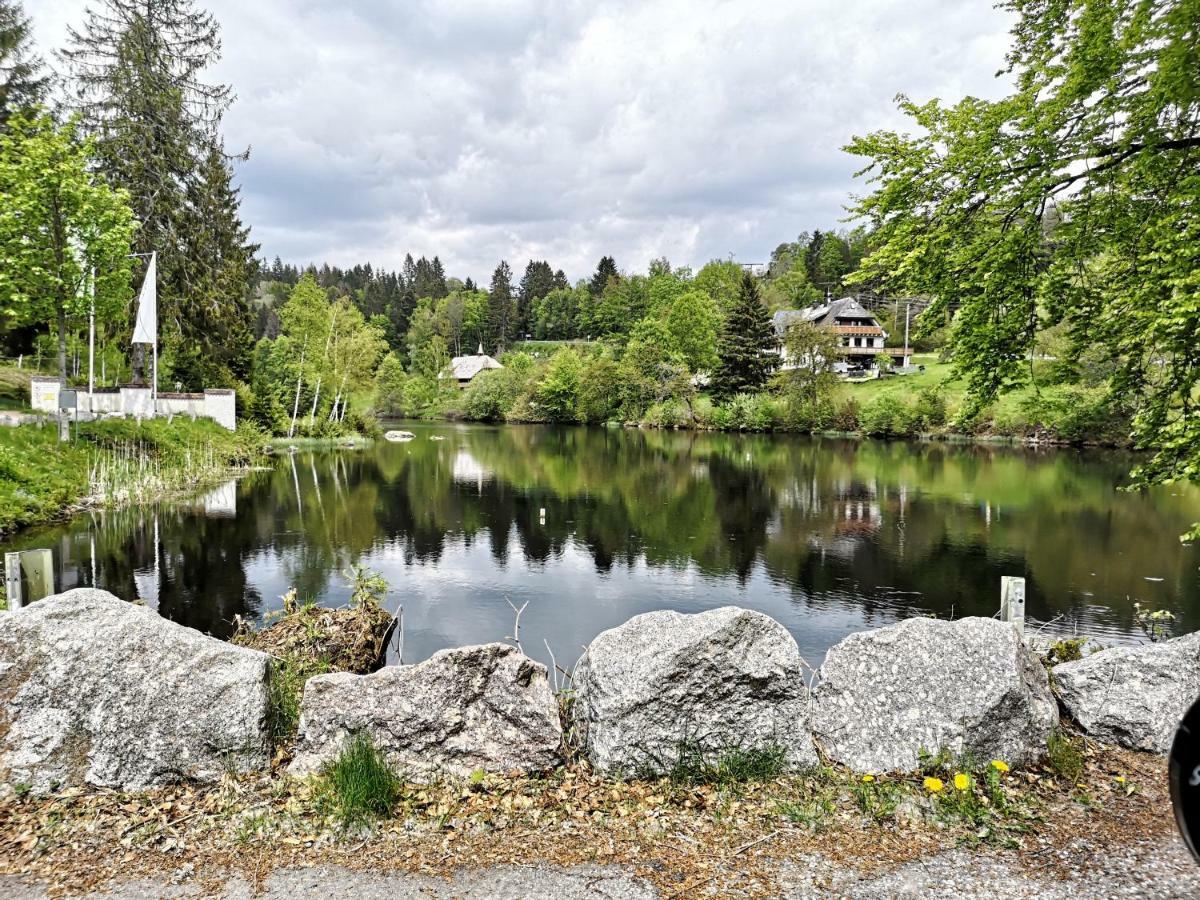 C3 Albmatte-Fewo Sauna, Hallenbad Aussenbecken Massagen Nebenan سانت بلاسين المظهر الخارجي الصورة